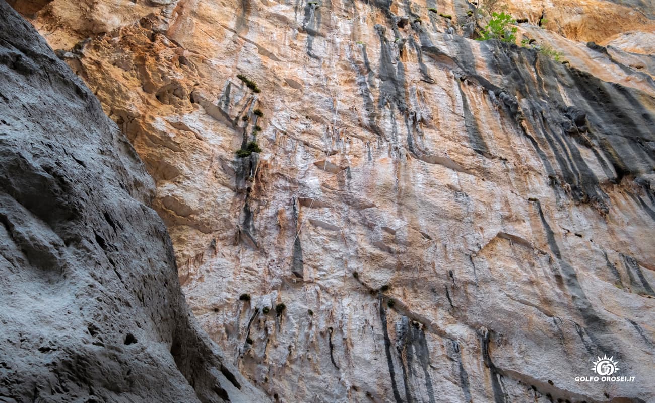Canyon Gorropu foto 16