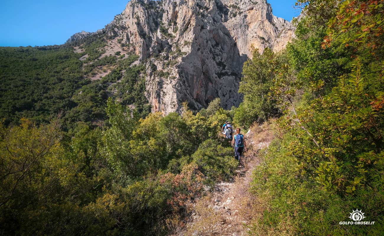 Canyon Gorropu foto 3