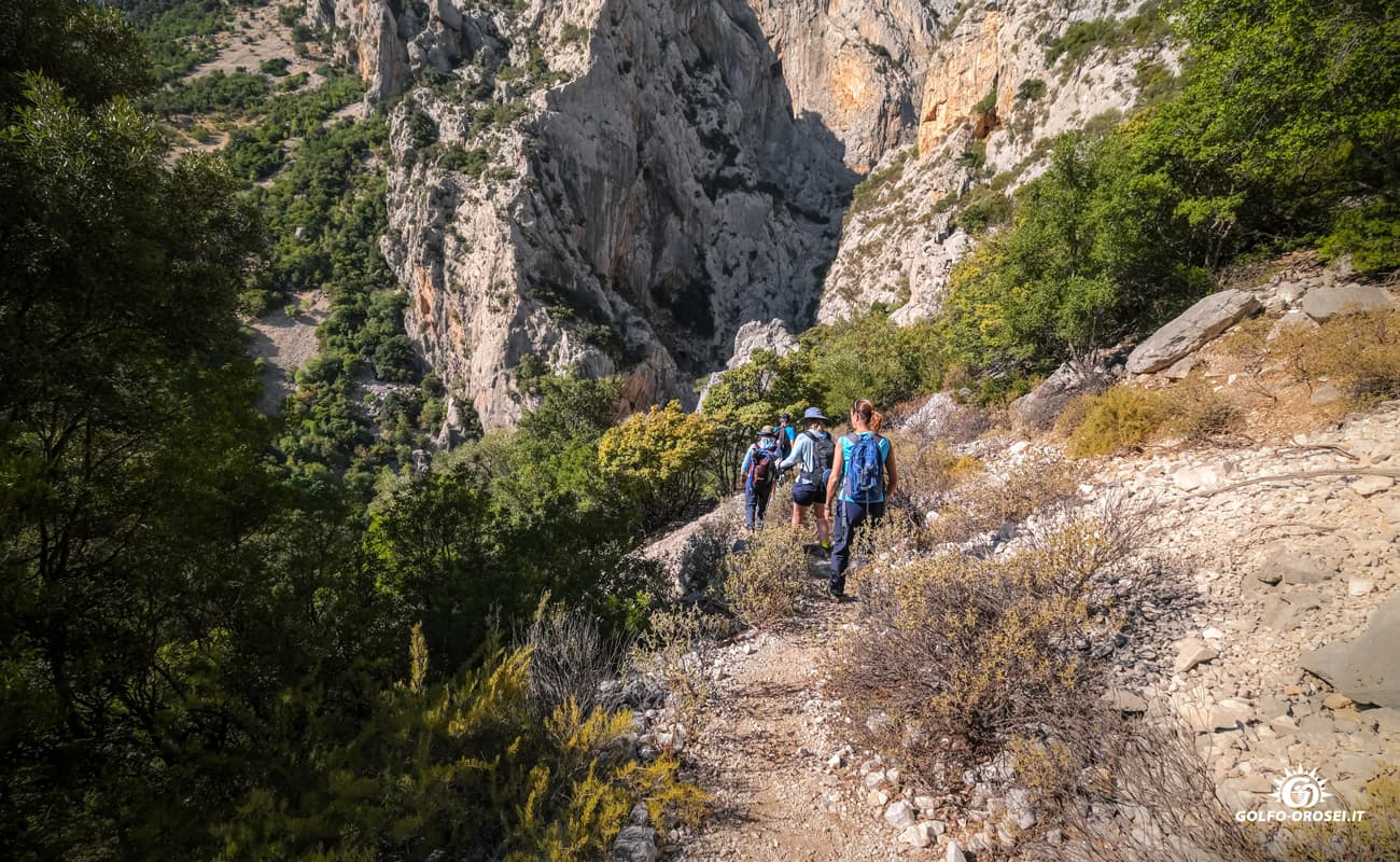 Canyon Gorropu foto 4