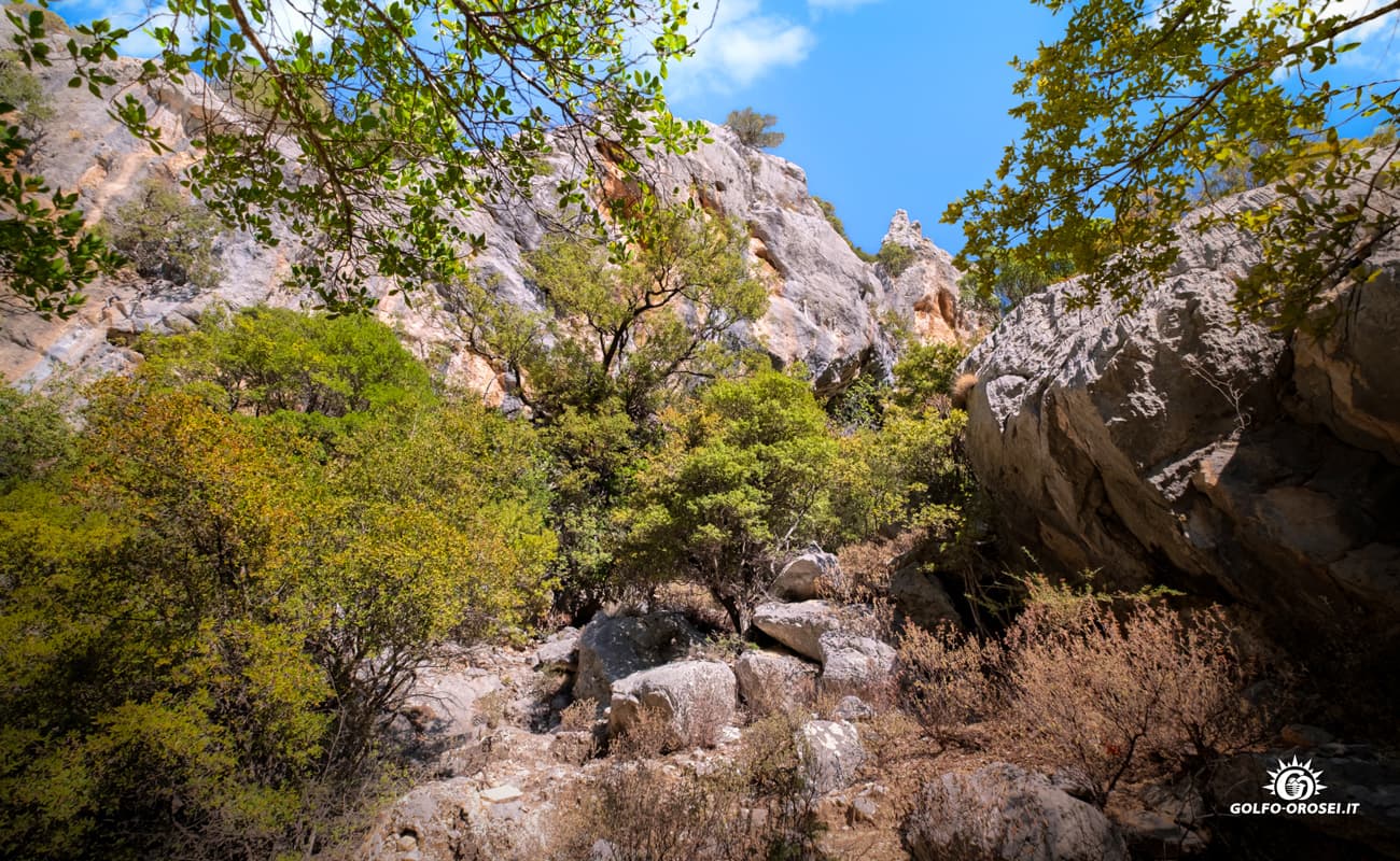 Canyon Gorropu foto 6