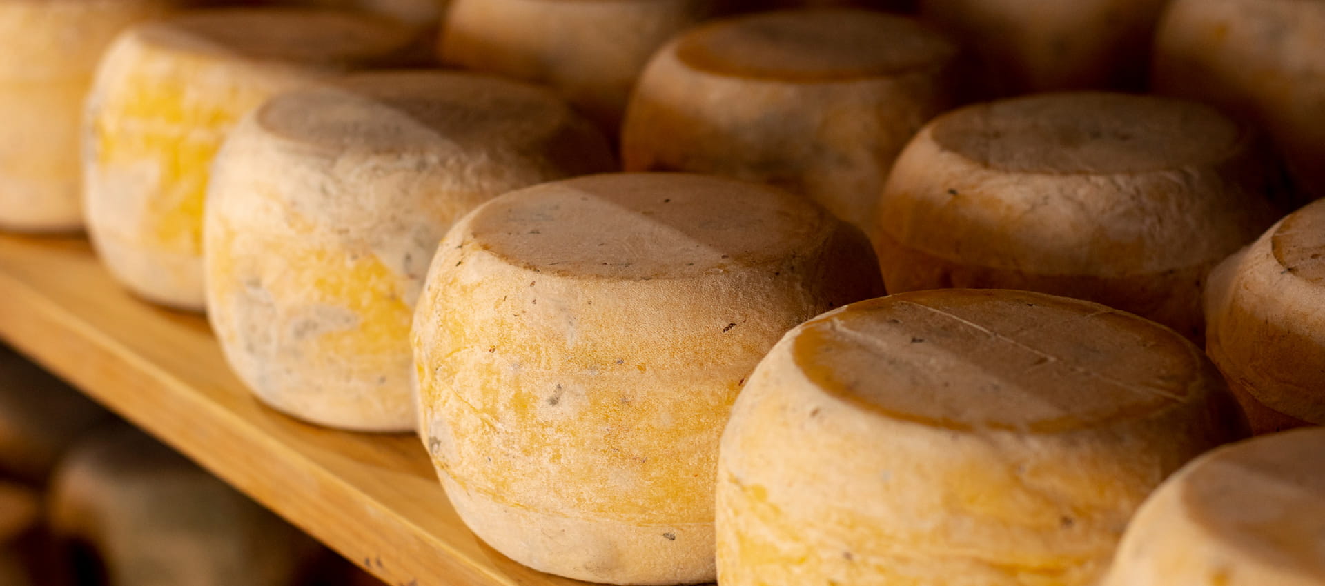 Pecorino Sardo