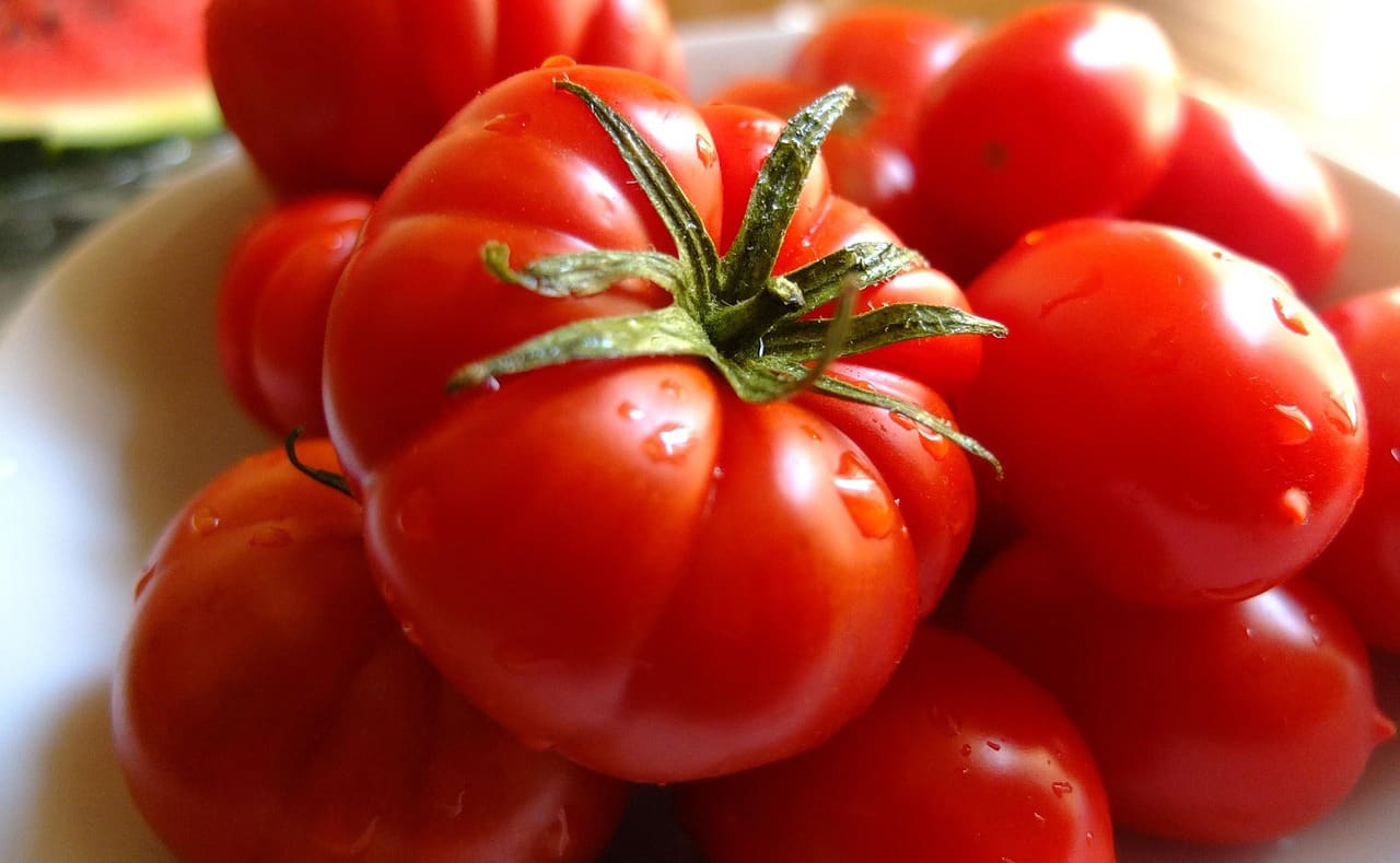 Pomodoro è un frutto stagionale