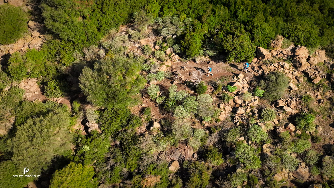 Golfo Orosei trekking