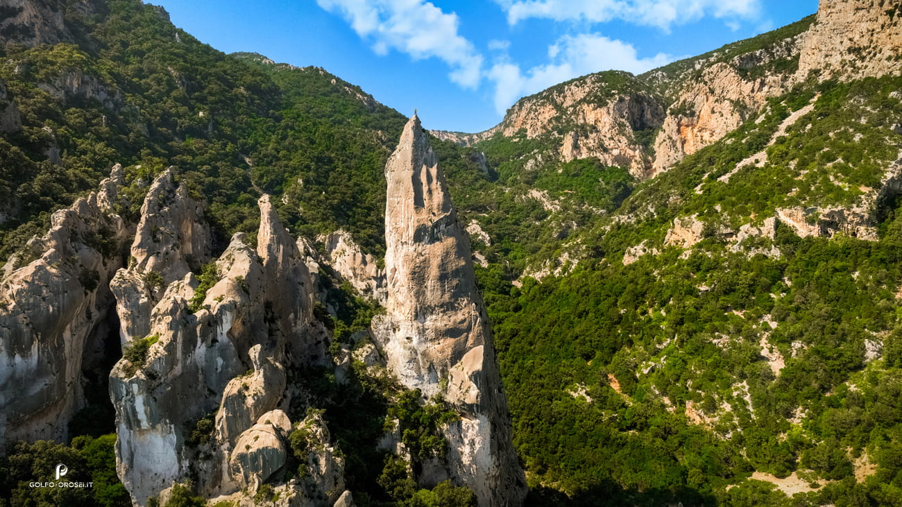 Aguglia di Vala Goloritze