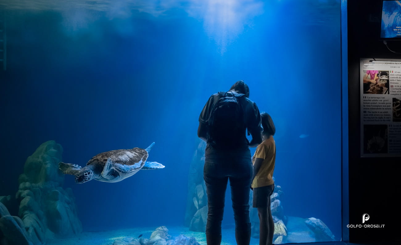 Acquario Cala Gonone