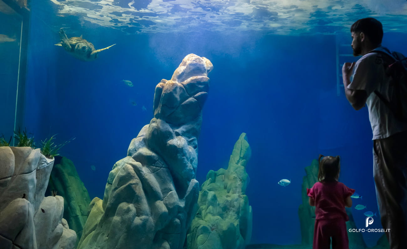 Acquario Orosei