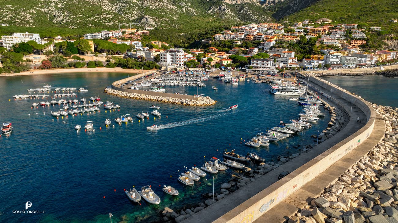 Consorzio Trasporti Marittimi