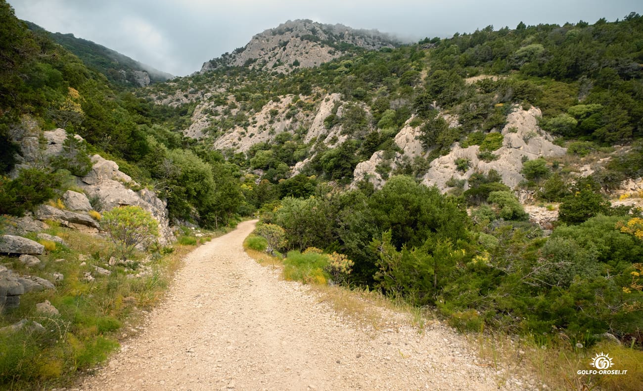 Cala Gonone trekking panoramico 1