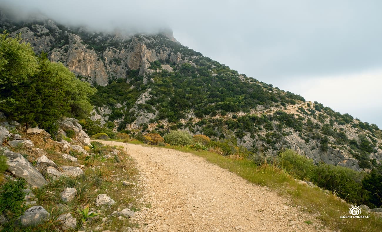 Cala Gonone trekking panoramico 3