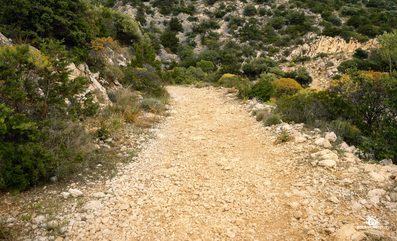 Cala Gonone trekking panoramico 4