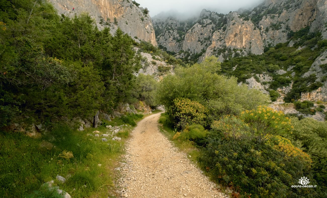 Cala Gonone trekking panoramico 5