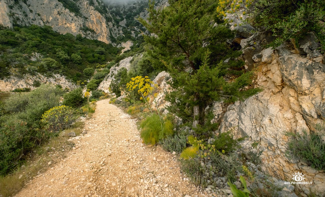 Cala Gonone trekking panoramico 6