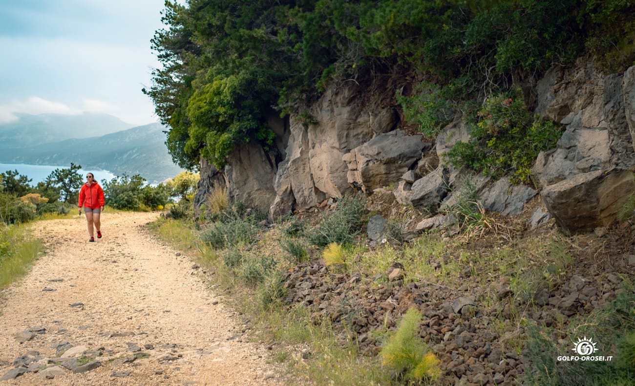 Esperienza di trekking