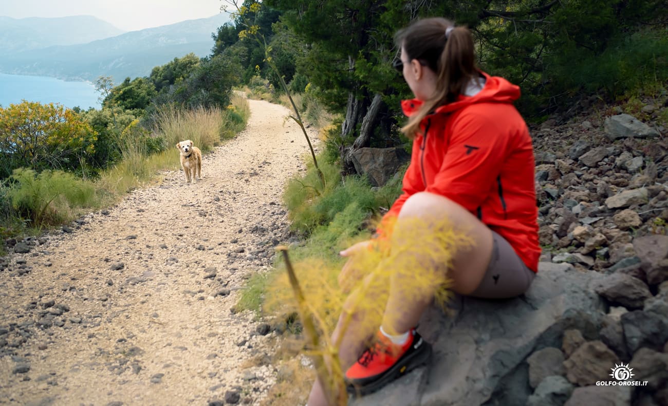 Trekking Cala Gonone 1