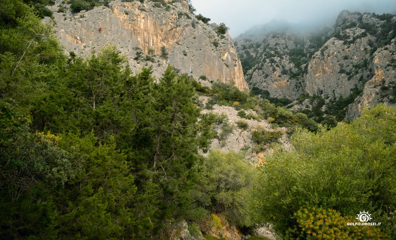 Trekking Cala Gonone 4