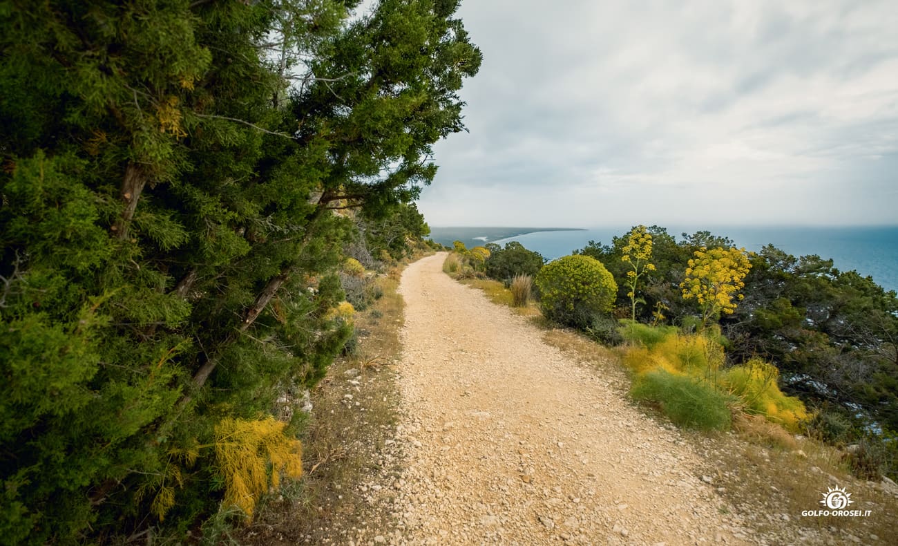Trekking Cala Gonone 5