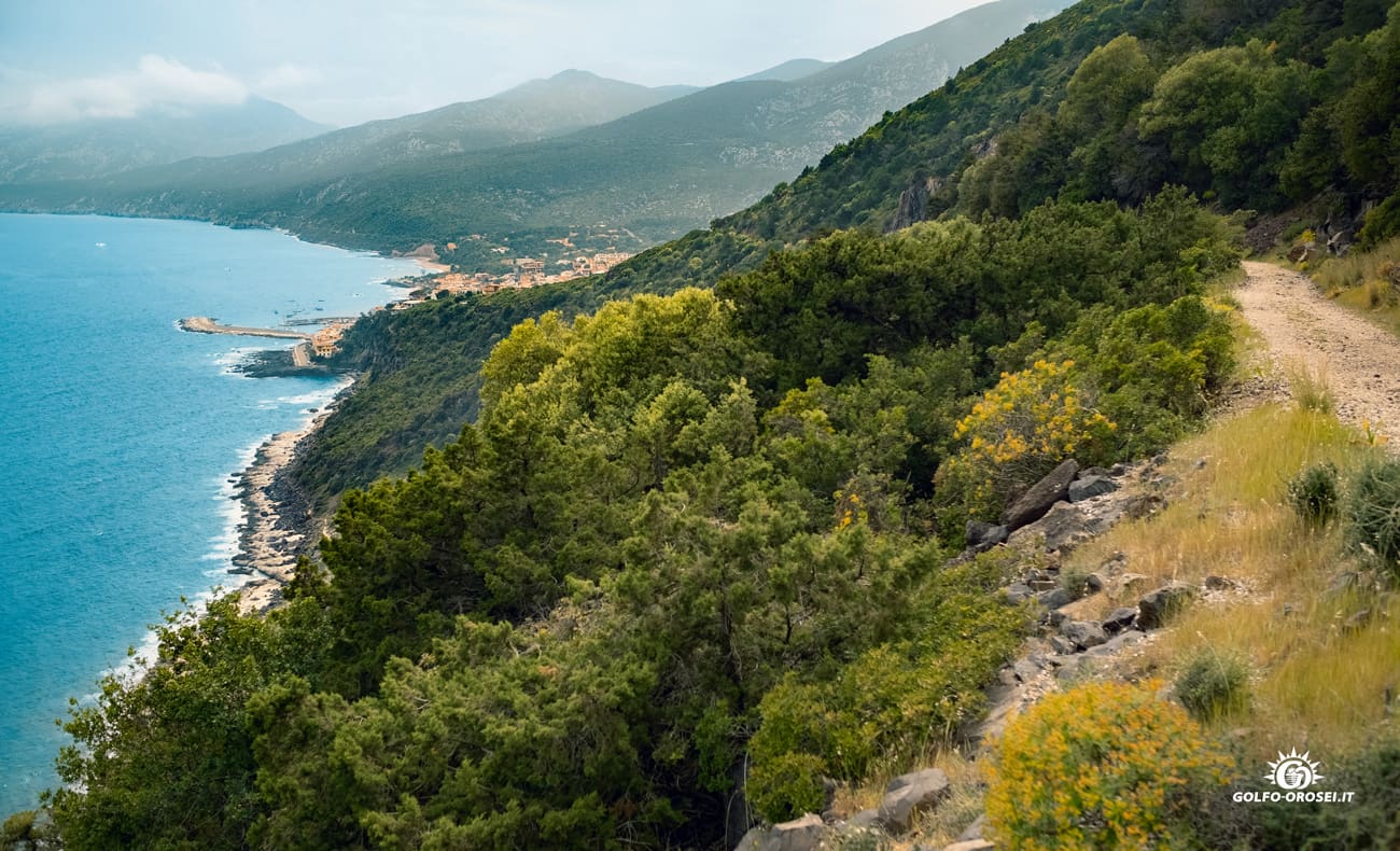 Un cammino con il Mare 2