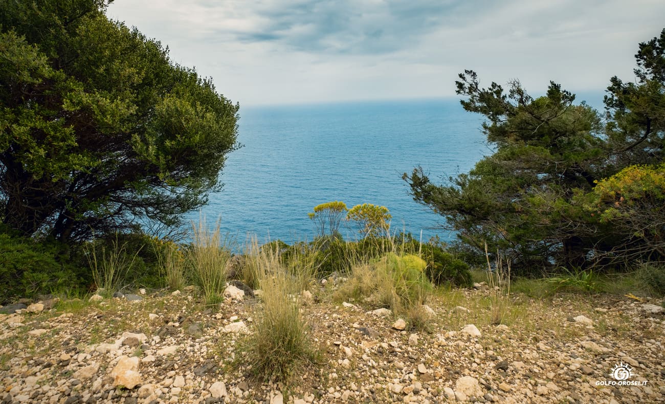 Un cammino con il Mare 3