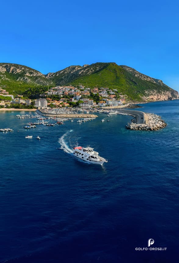 Faq Consorzio Trasporti Marittimi