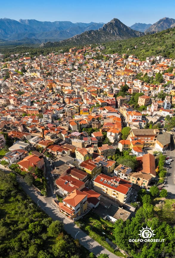 Faq Dorgali