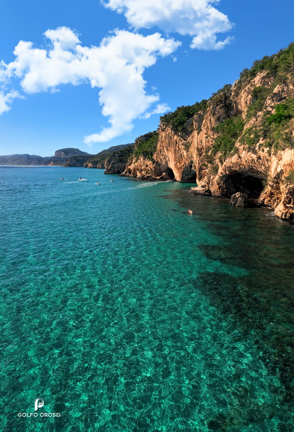 Faq Grotta del bue marino