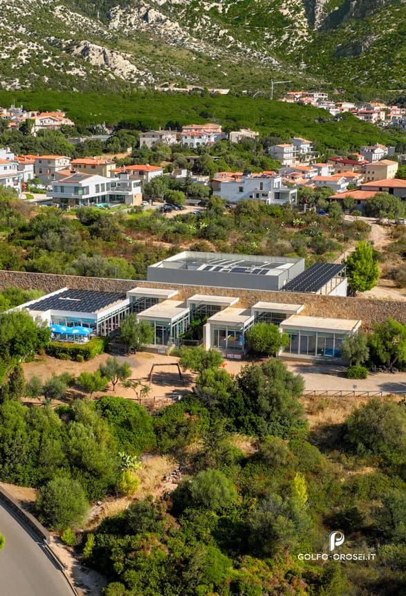 Faq acquario di cala Gonone