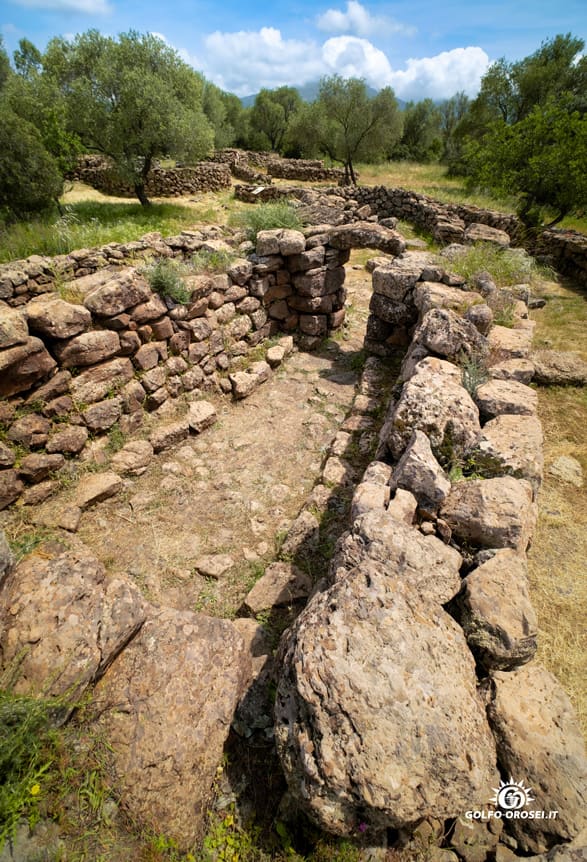 Faq Serra Orrios