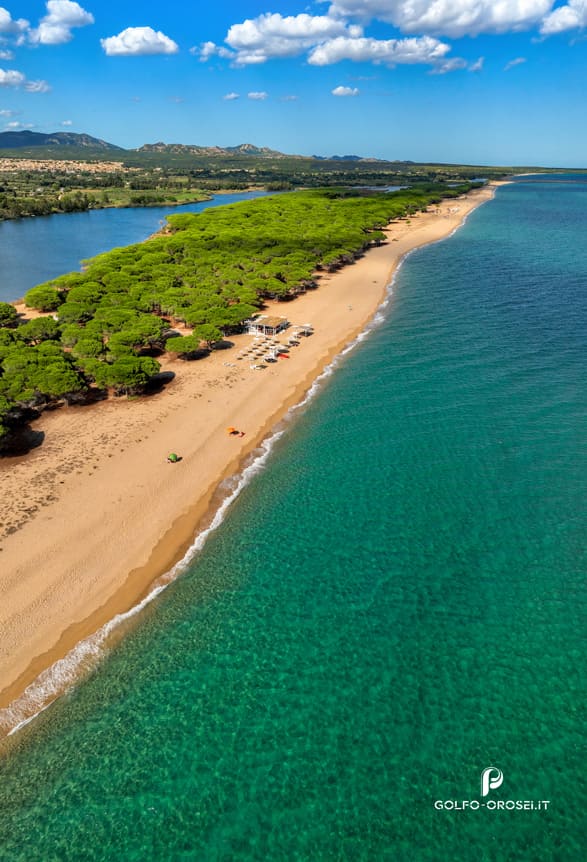 Faq spiaggia su Petrosu