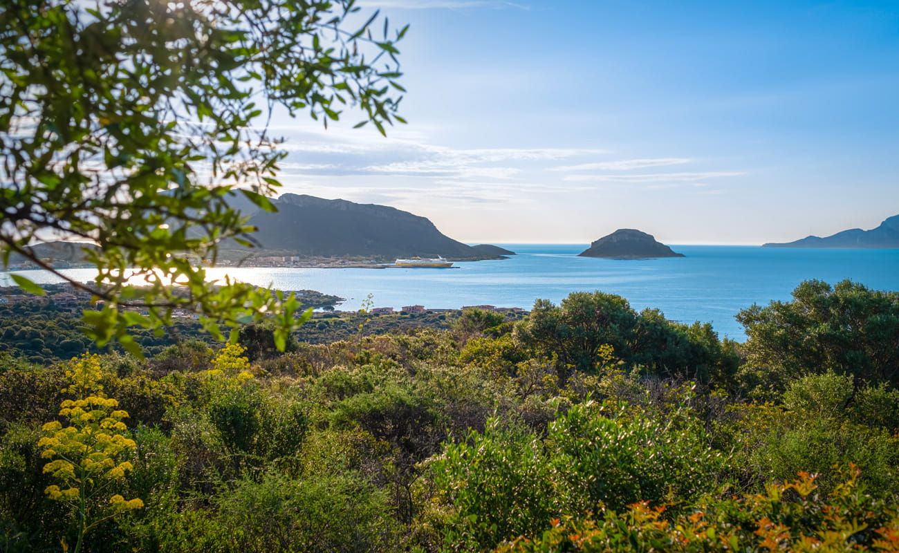 Traghetti Sardegna foto 4