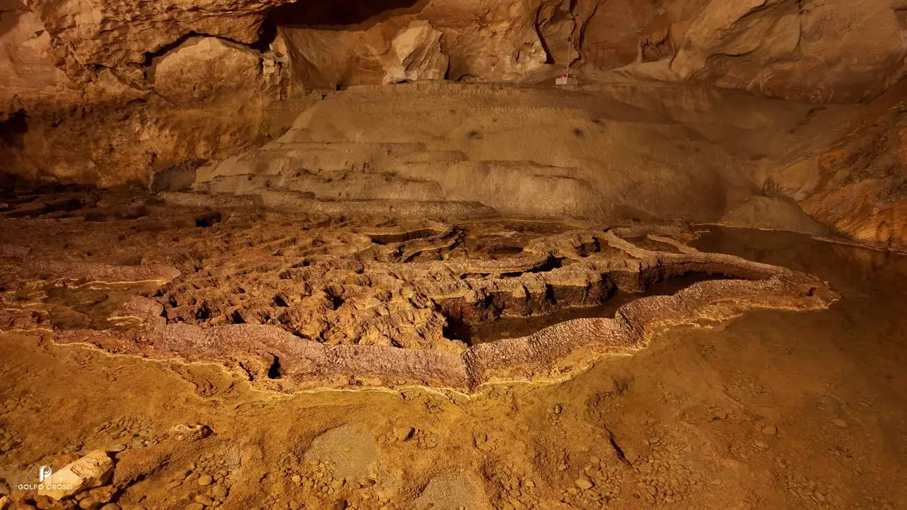 ecosystem grotta bue marino