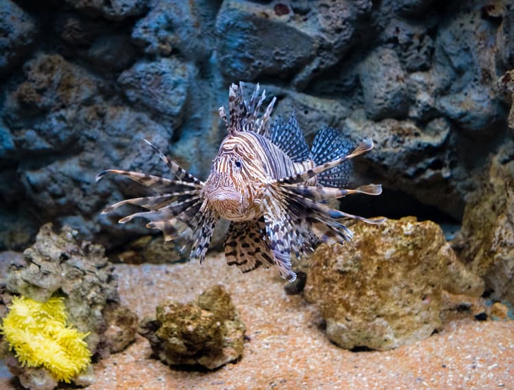 Acquario di Cala Gonone