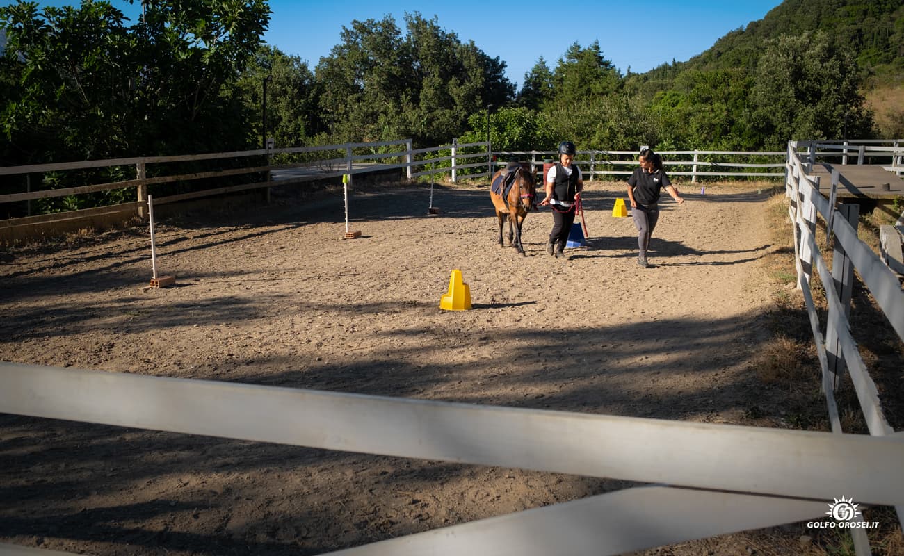 Horseback riding lesson for children