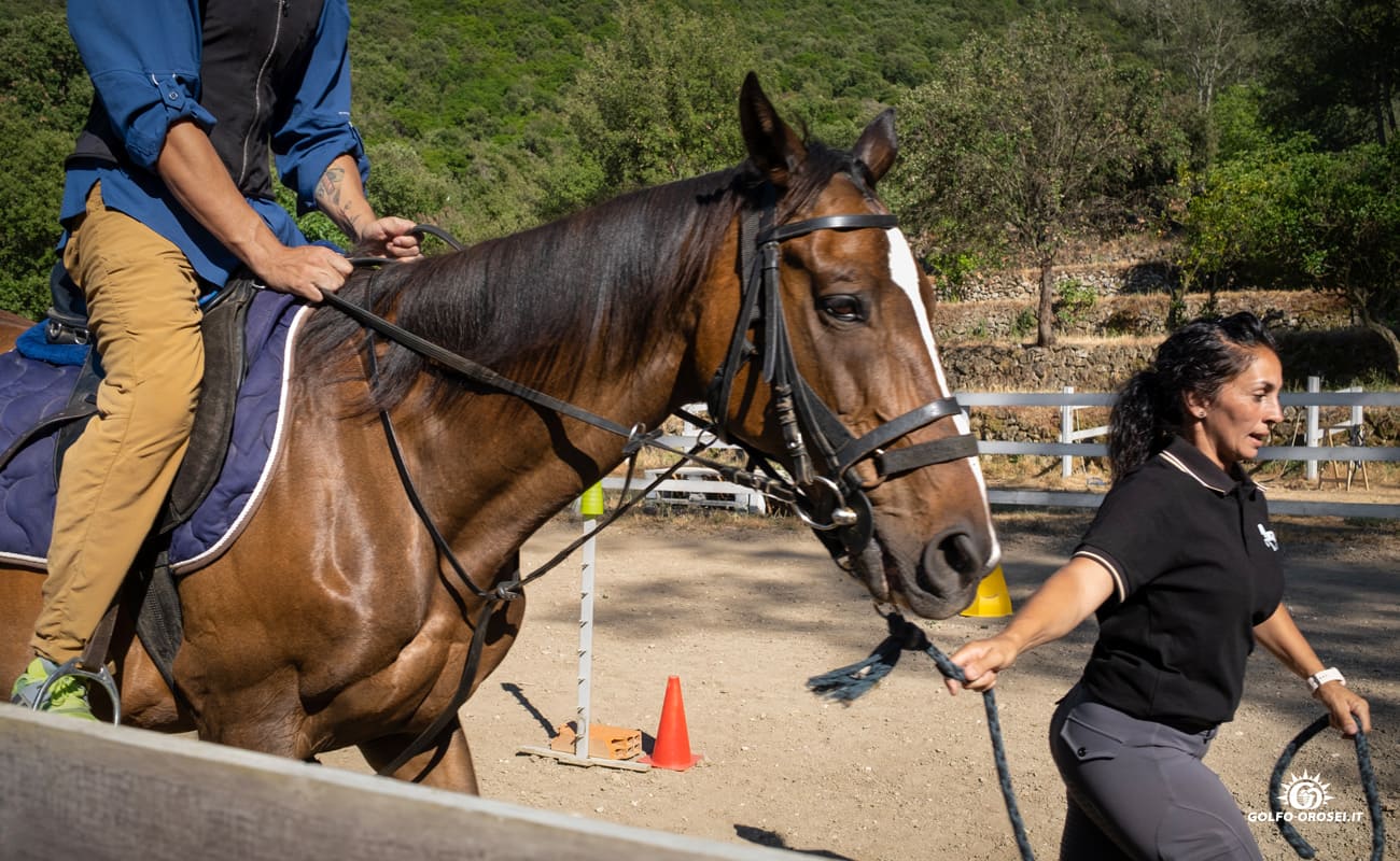 Escursioni a cavallo 1