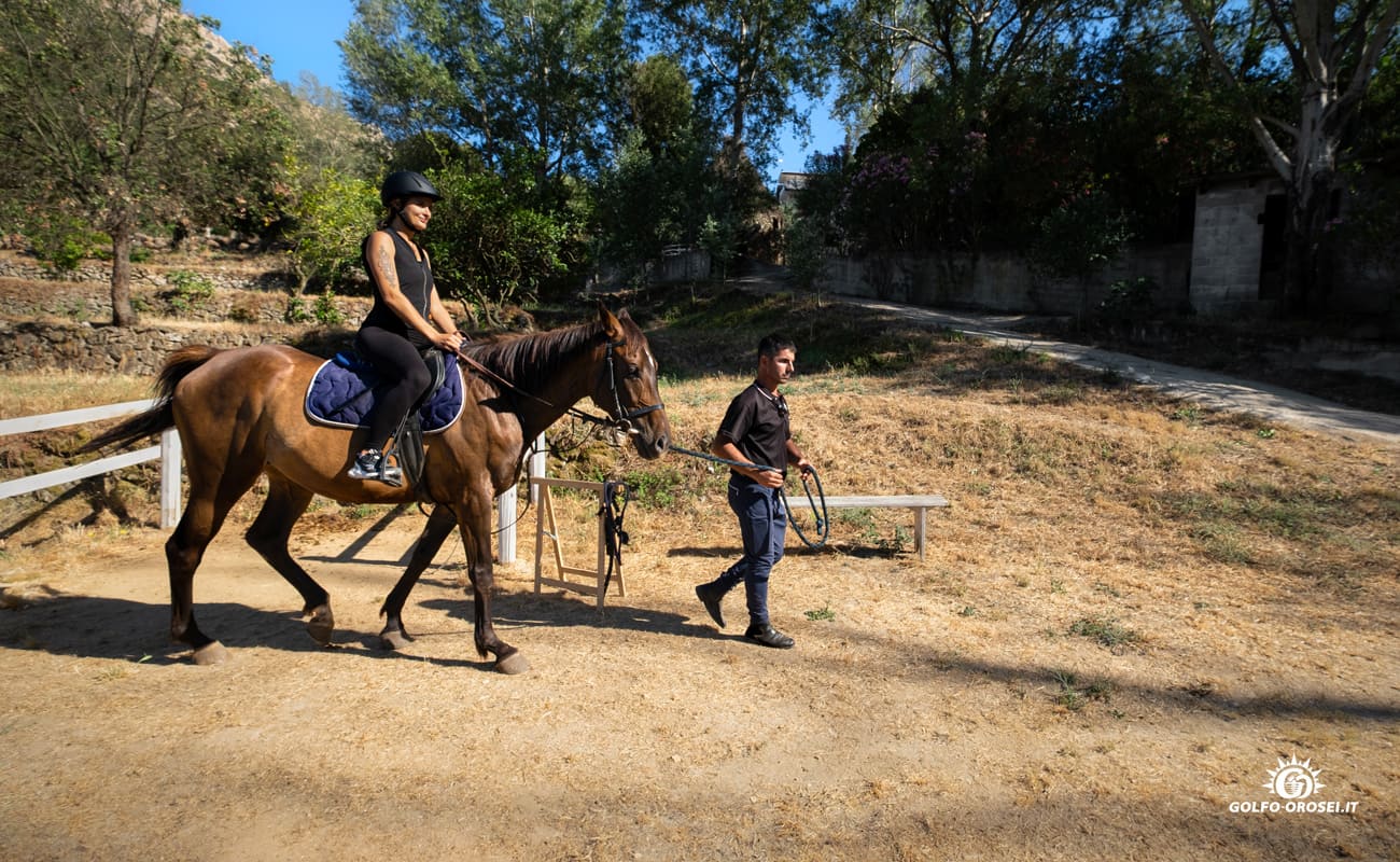 Escursioni a cavallo 2