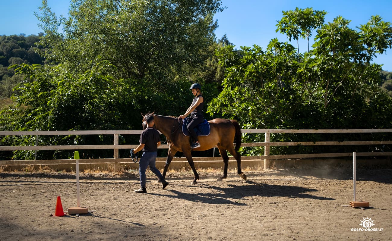 Escursioni a cavallo 3