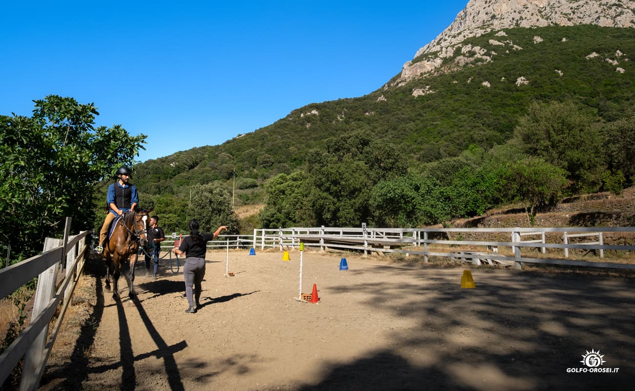Escursioni a cavallo 4