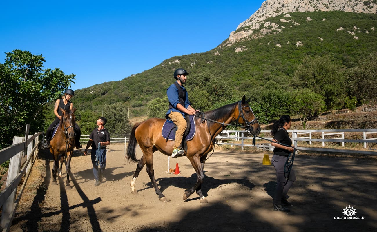 Escursioni a cavallo 5