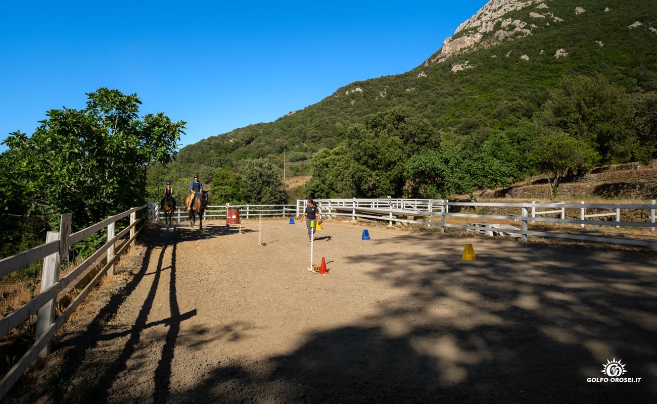 Escursioni a cavallo 6
