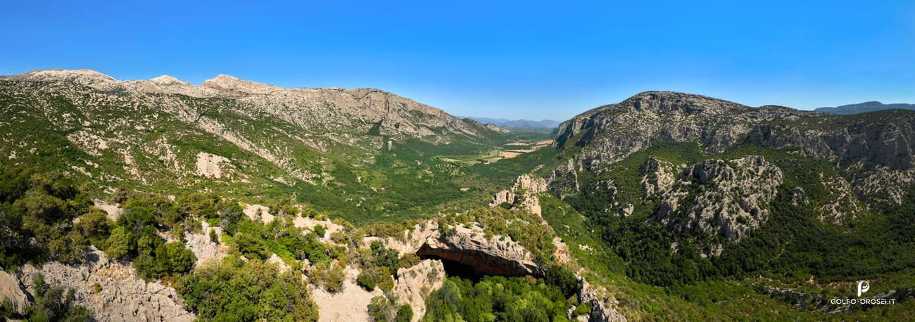 Biodiversità di fiori ed erbe uniche
