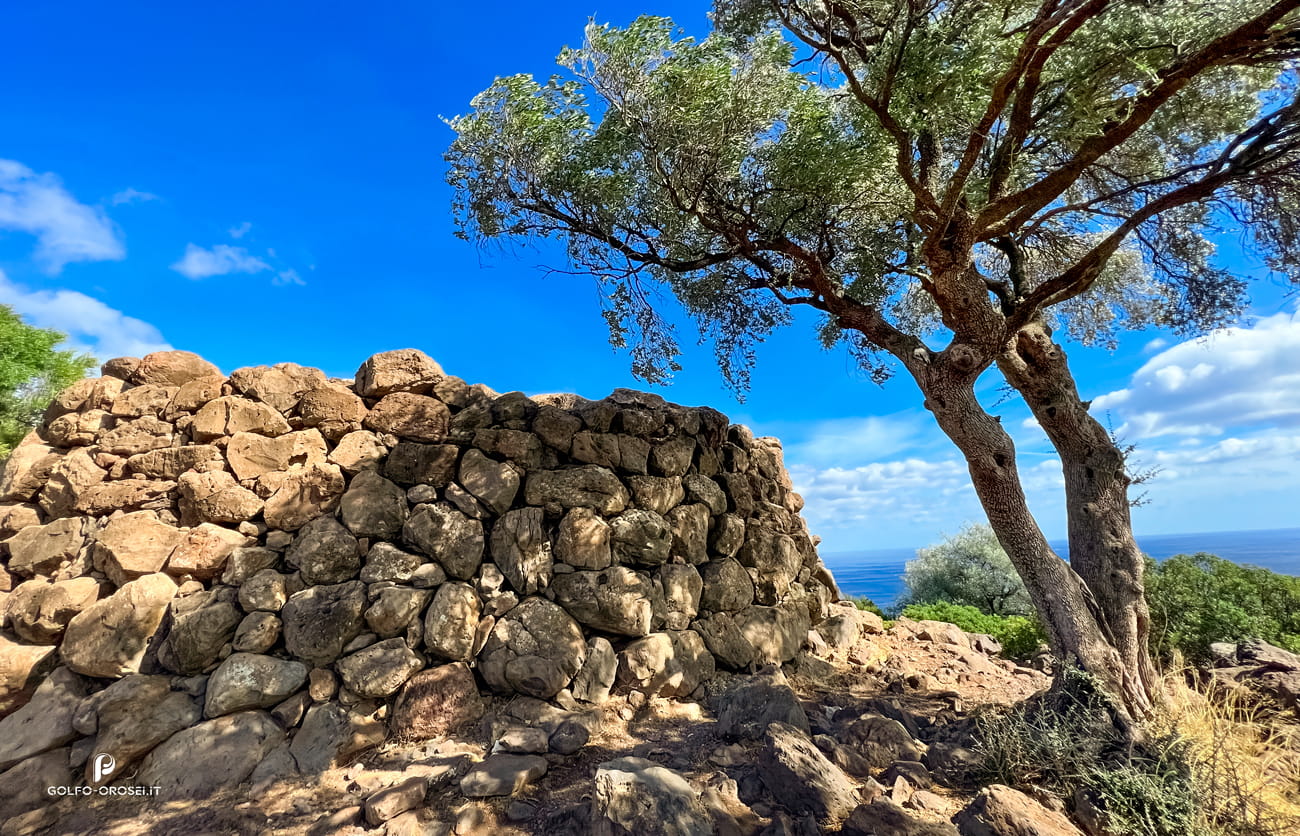 Nuraghe Mannu esterni