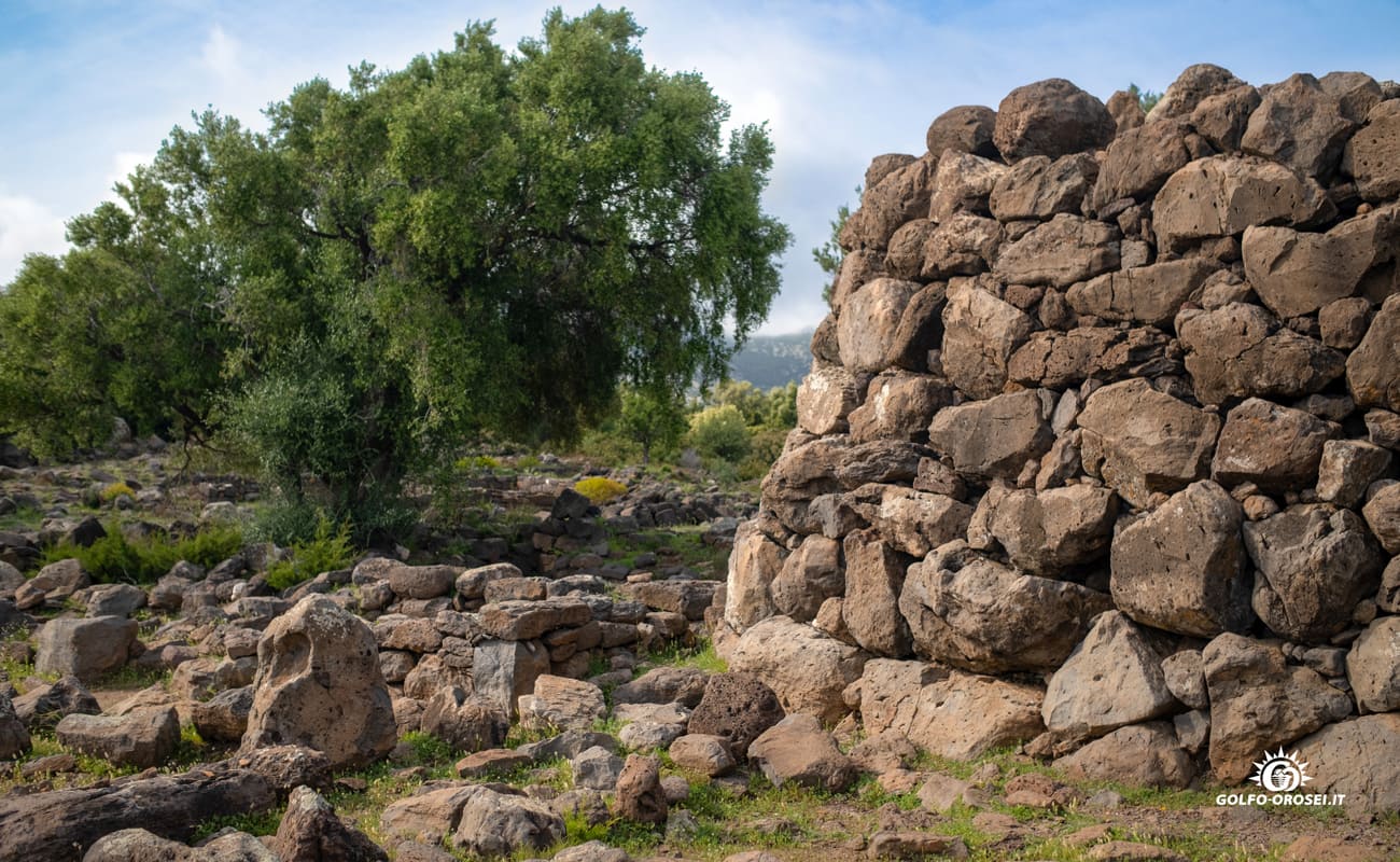 Nuraghe Mannu foto 1