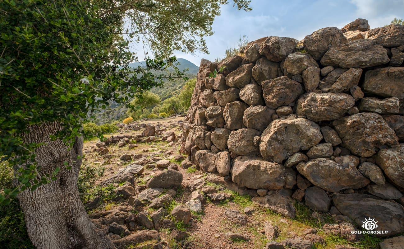 Nuraghe Mannu foto 3