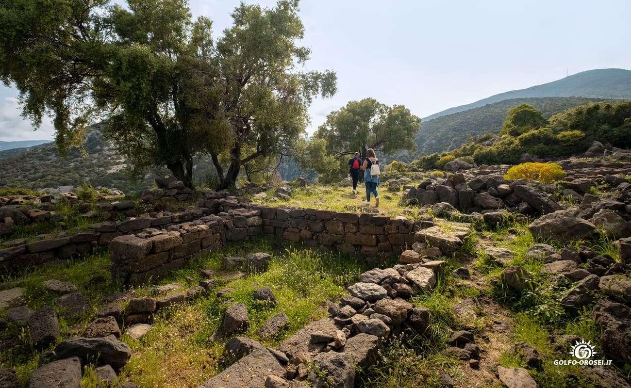 Nuraghe Mannu foto 7