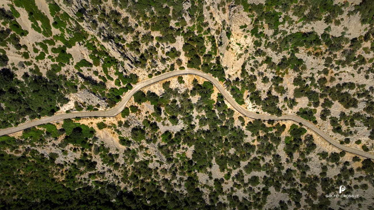 The road to the Littu Pass