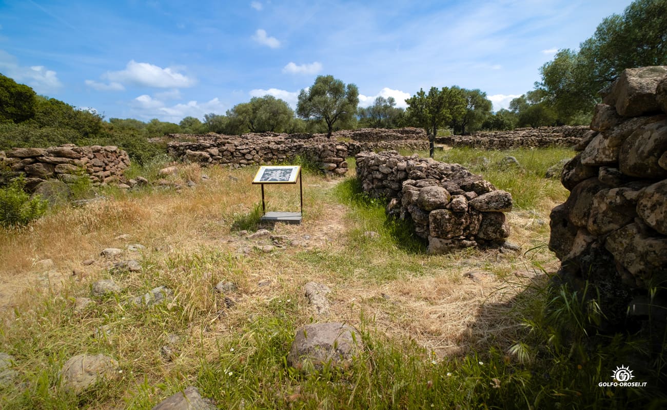 Visita guidata Serra Orrios