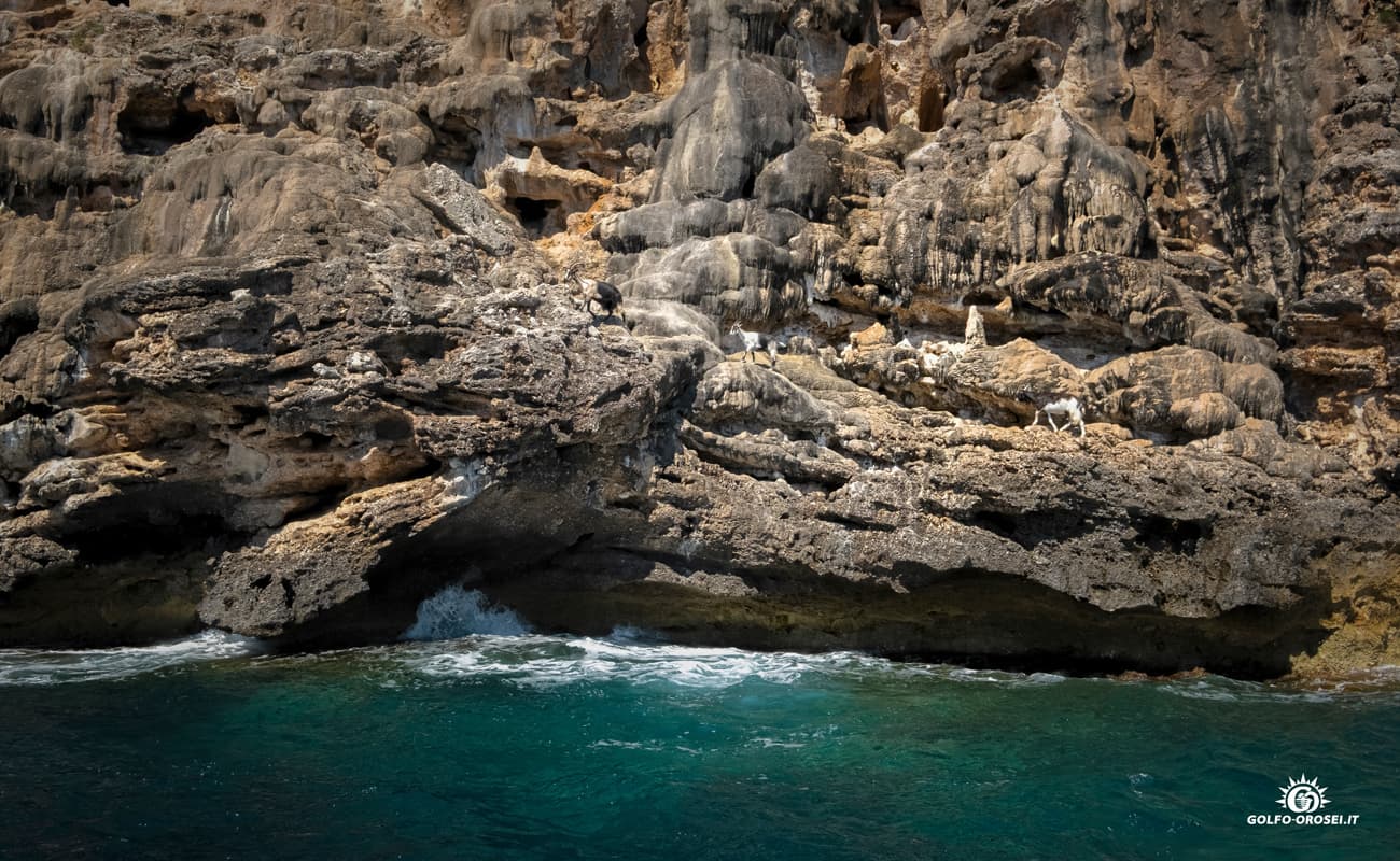Escursione tropic foto gallery 11