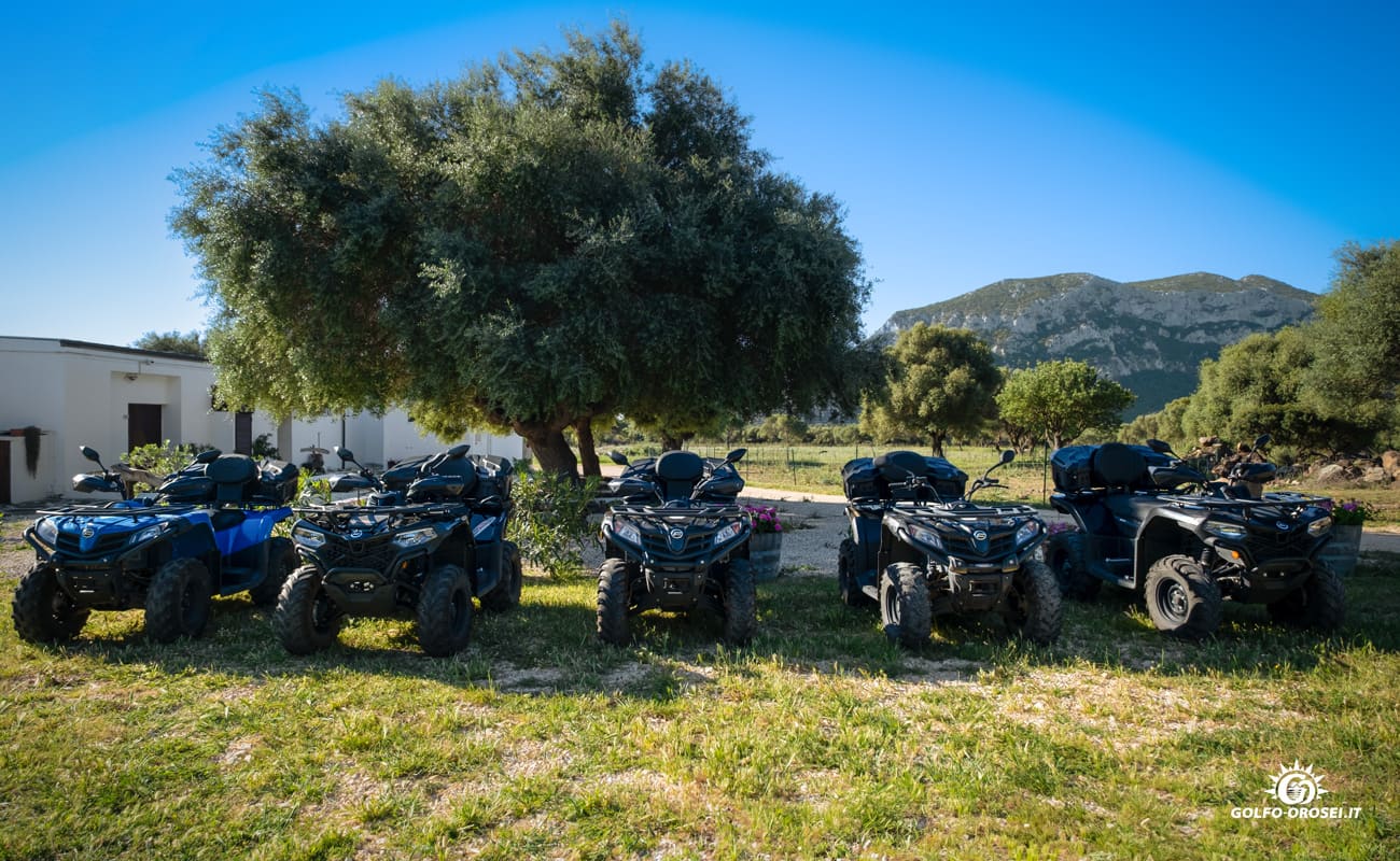 Noleggio quad Orosei