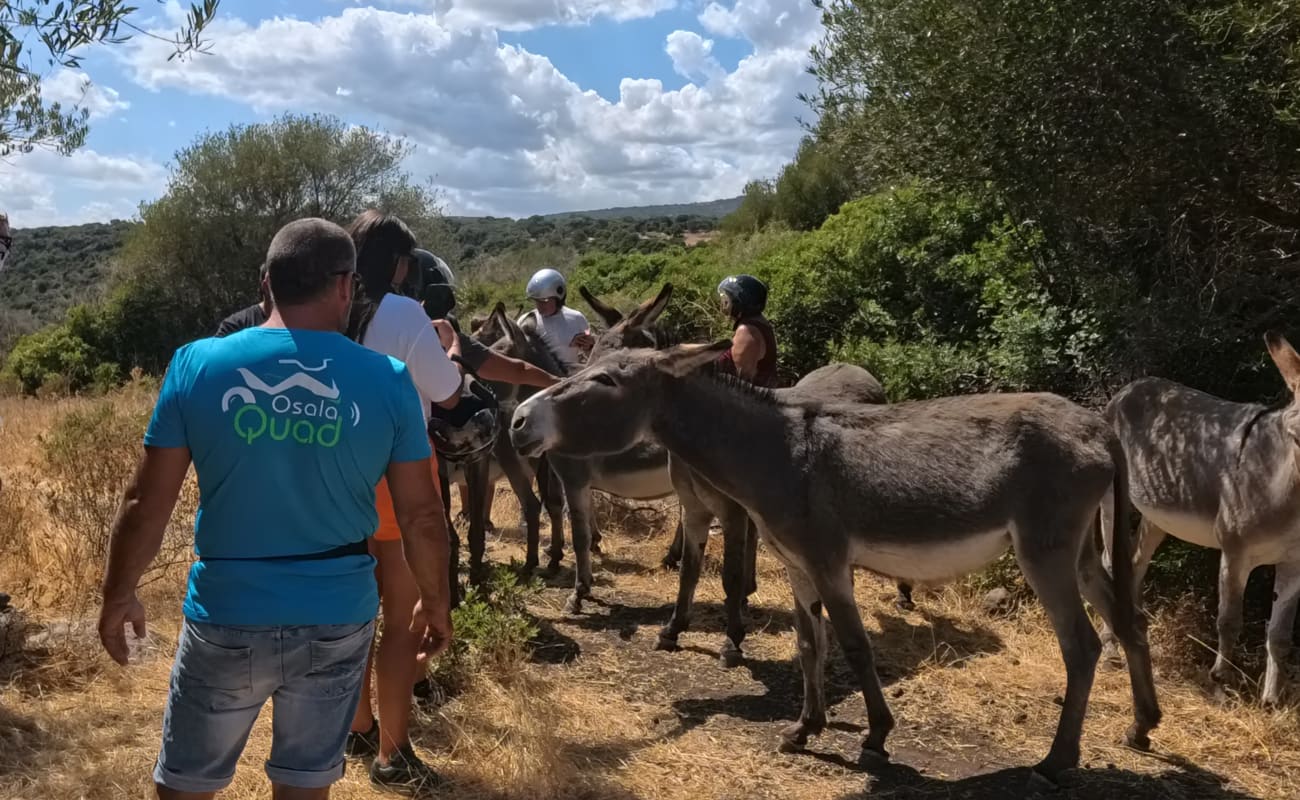 Escursioni in Quad 5