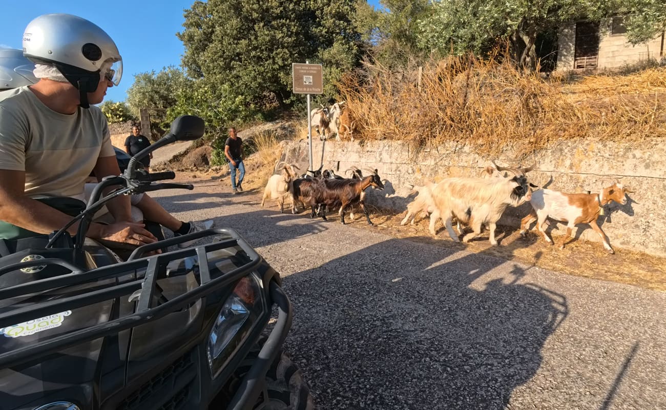 Escursioni in Quad 6