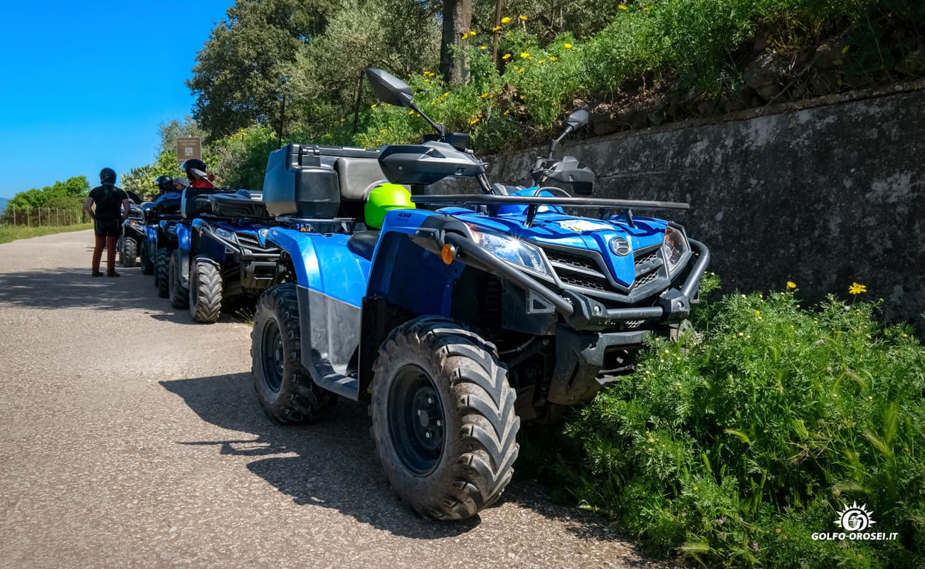 Escursioni in Quad 11